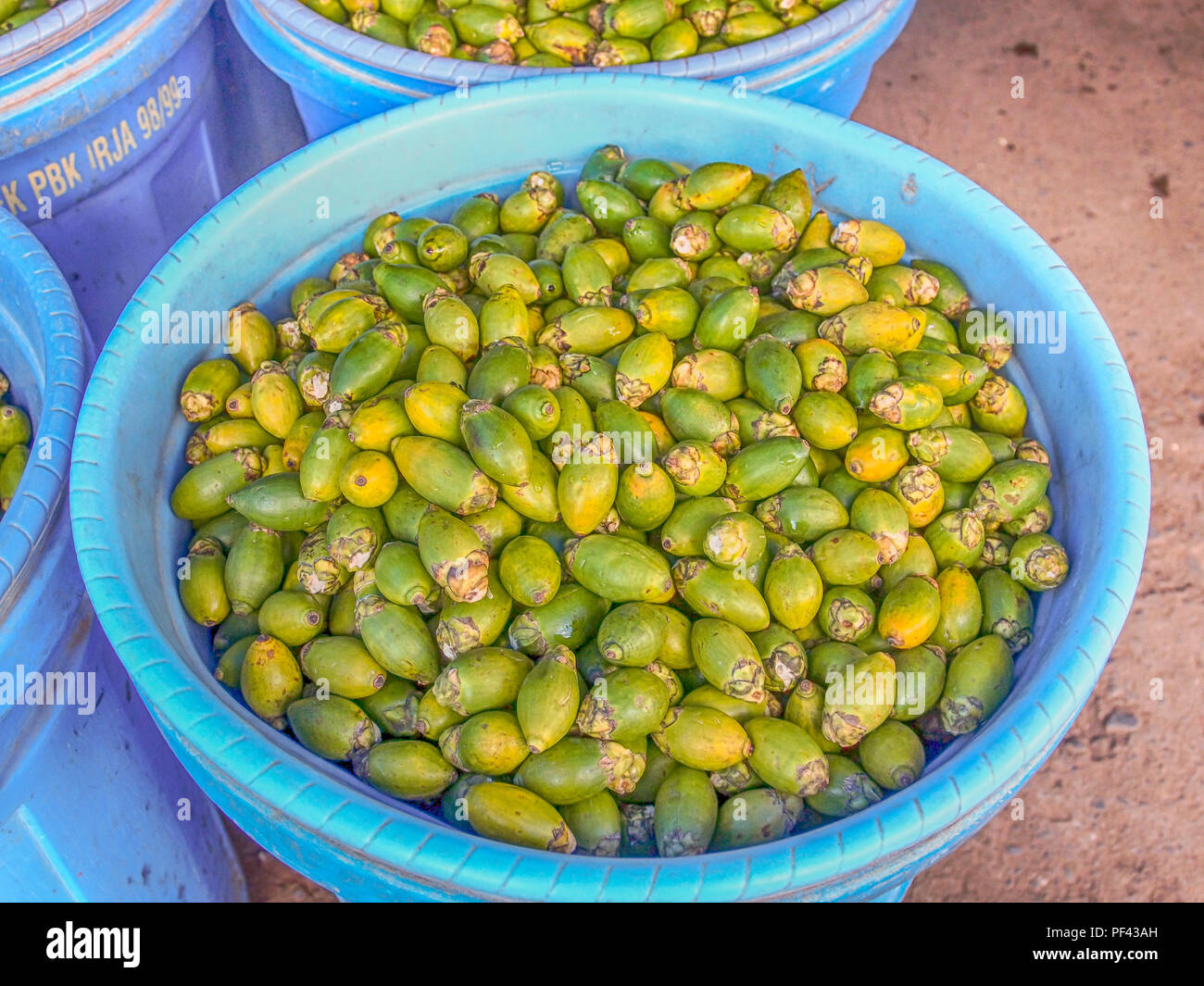 Noix de bétel dans le panier bleu sur le bazar dans la ville de Wamena. Le nom du fruit est Béthel. Utilisé comme un stimulant en Indonésie Banque D'Images