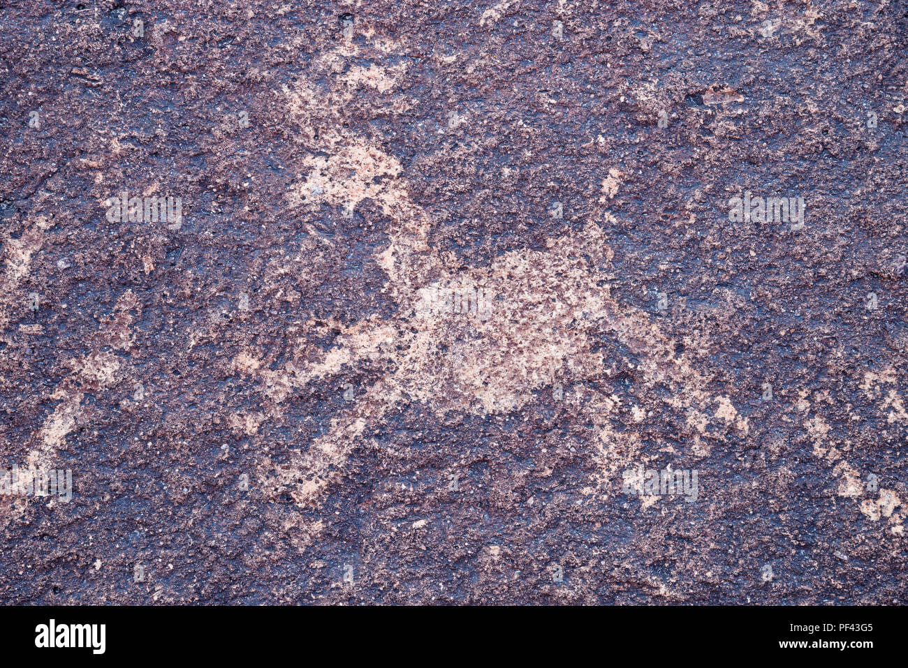 Pétroglyphes des animaux d'un cerf ou des mouflons sur la roche de tuf volcanique Banque D'Images