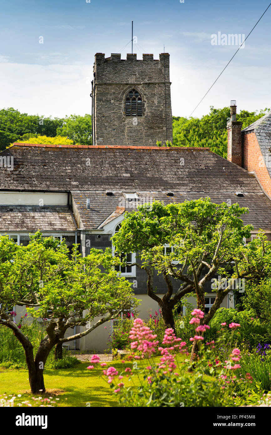 UK, Cornwall, Padstow, St Petroc's tour de l'église au-dessus de village house garden Banque D'Images