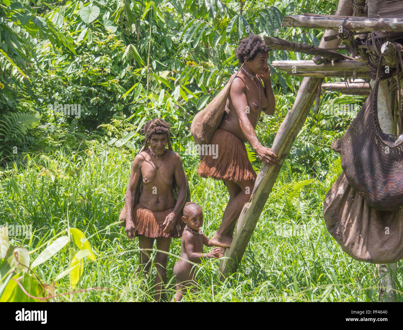 Jungle, Indonésie - le 13 janvier 2015 : les femmes et l'enfant de la tribu  Korowai entrer dans leur maison sur l'arbre. La Papouasie occidentale, en  Indonésie Photo Stock - Alamy