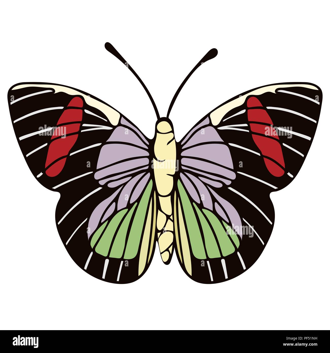 Dessin animé papillon, vector illustration. L'Abstraction tirée avec Papillon rouge, vert, lilas, ailes noires isolé sur fond blanc, les h Illustration de Vecteur