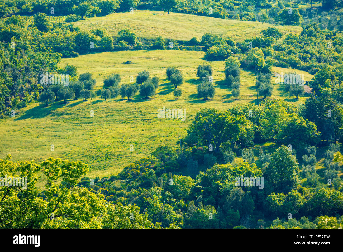 Beau paysage, printemps nature. Vue de dessus de champs ensoleillés sur les collines de Toscane, Italie Banque D'Images