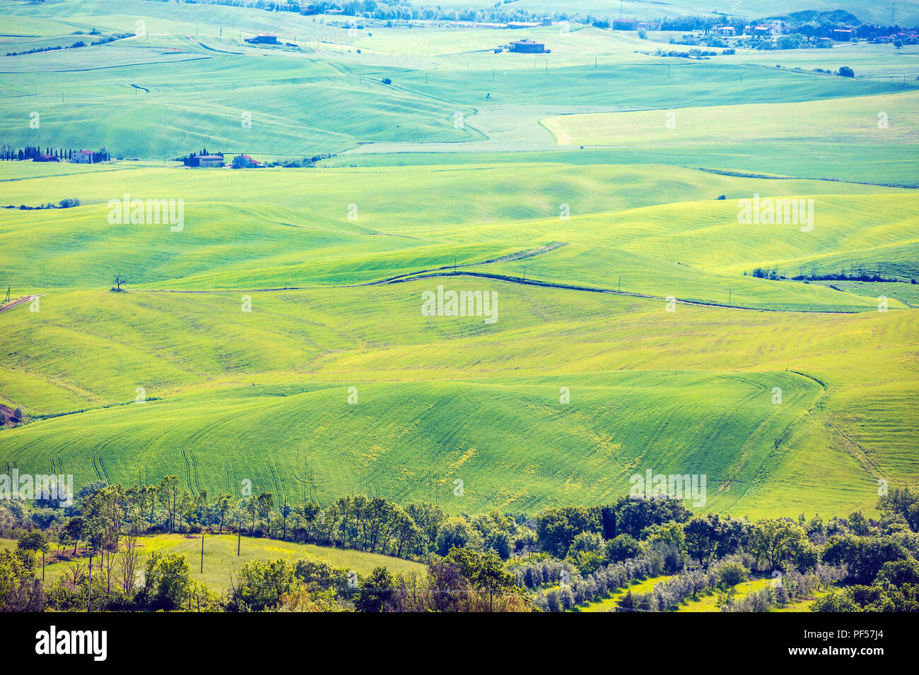Beau paysage, printemps nature. Vue de dessus de champs ensoleillés sur les collines de Toscane, Italie Banque D'Images