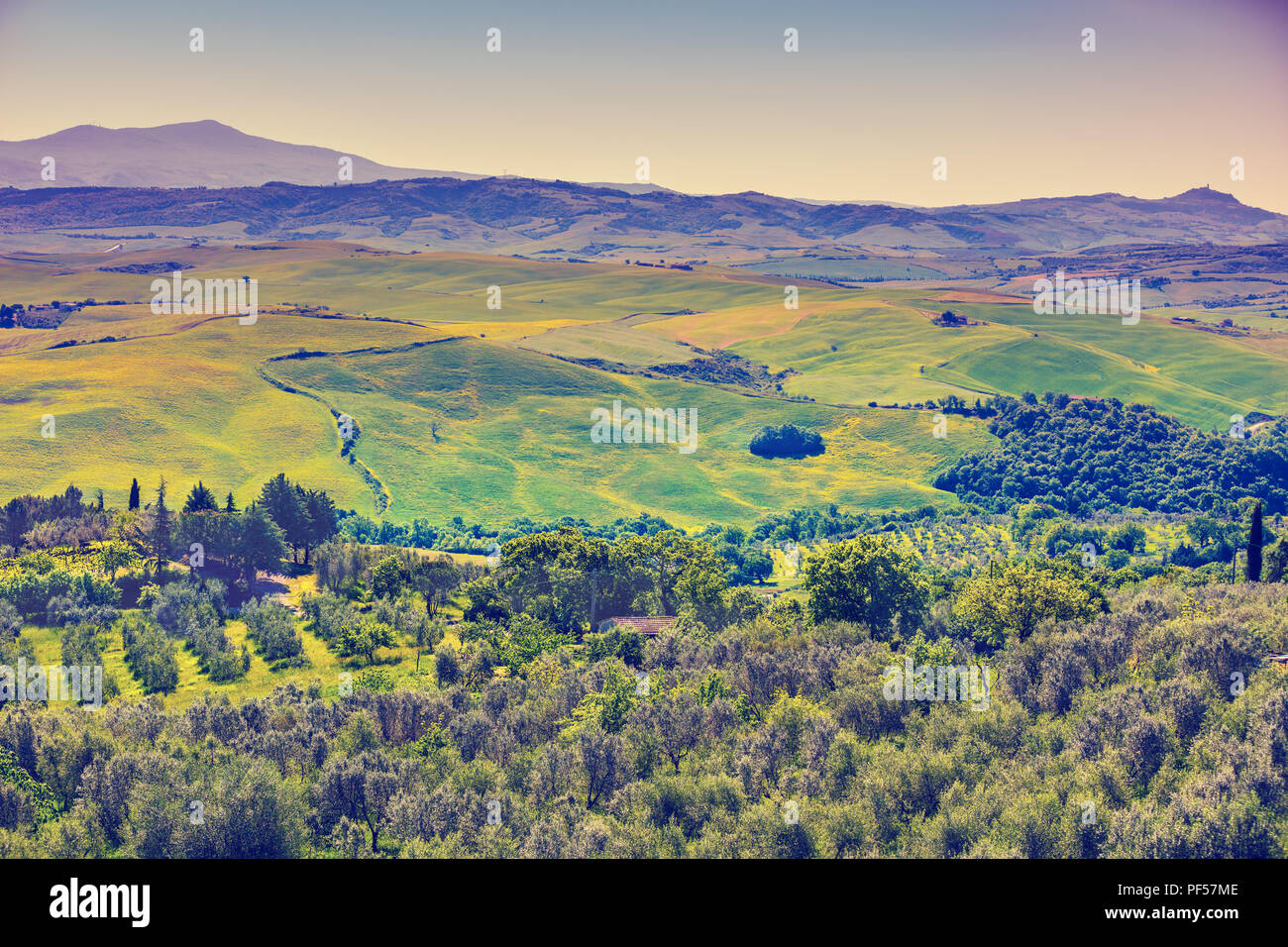Beau paysage, printemps nature. Vue de dessus de beaux champs et plantations d'oliviers sur les collines de Toscane, Italie Banque D'Images