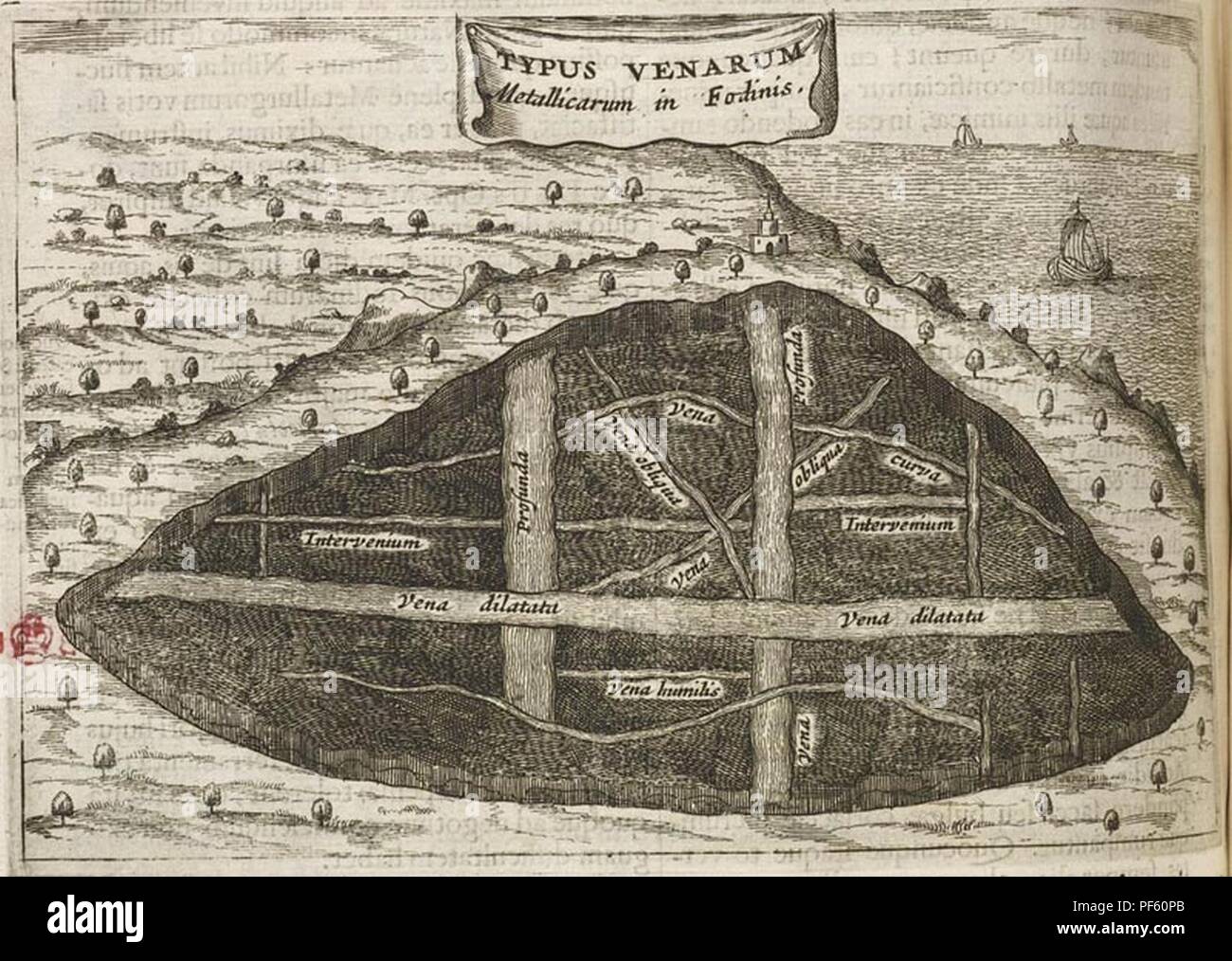 Athanasius Kircher - Micromys minutus Mundus (1665) - BL 505.ee.4 - 2. Banque D'Images