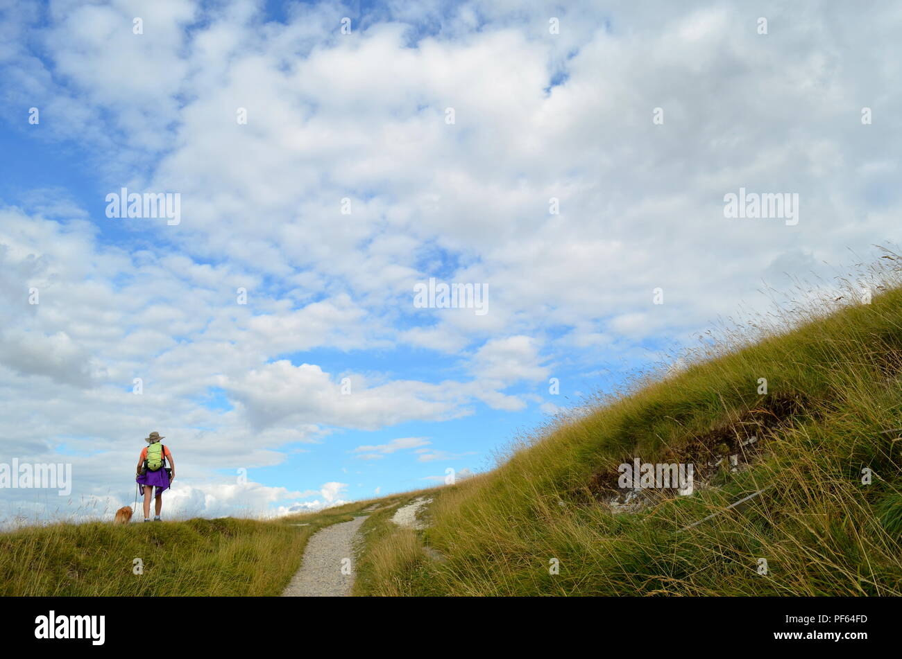 Uffington White Horse Banque D'Images