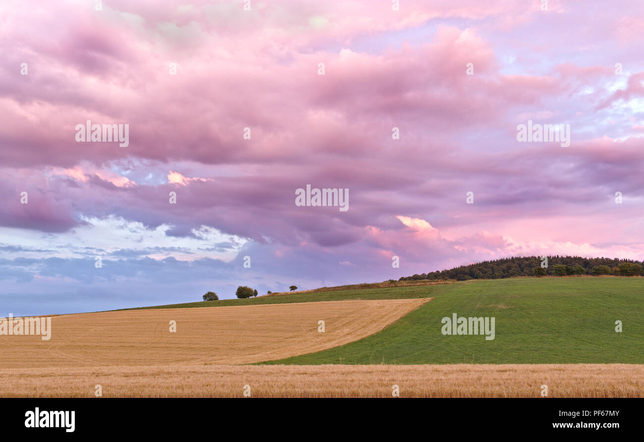 Sauerland, Allemagne - terre agricole avec des champs jaunes et verts pâturages au coucher du soleil avec des nuages pourpres et au-dessus des arbres dans la distance Banque D'Images