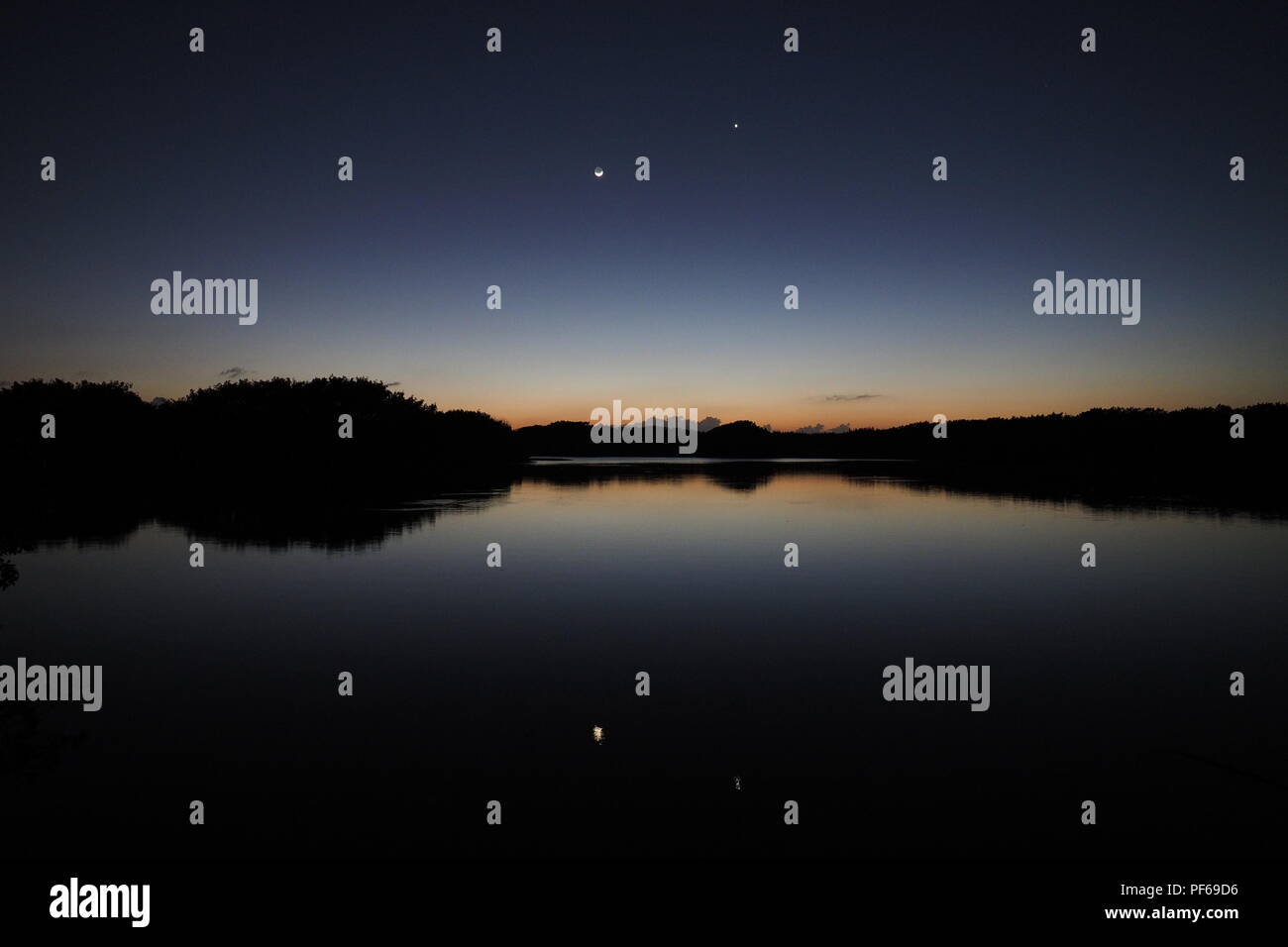 La Lune et Vénus à la fin de twilight sur un étang calme exceptionnellement Paurotis dans le parc national des Everglades, en Floride. Banque D'Images