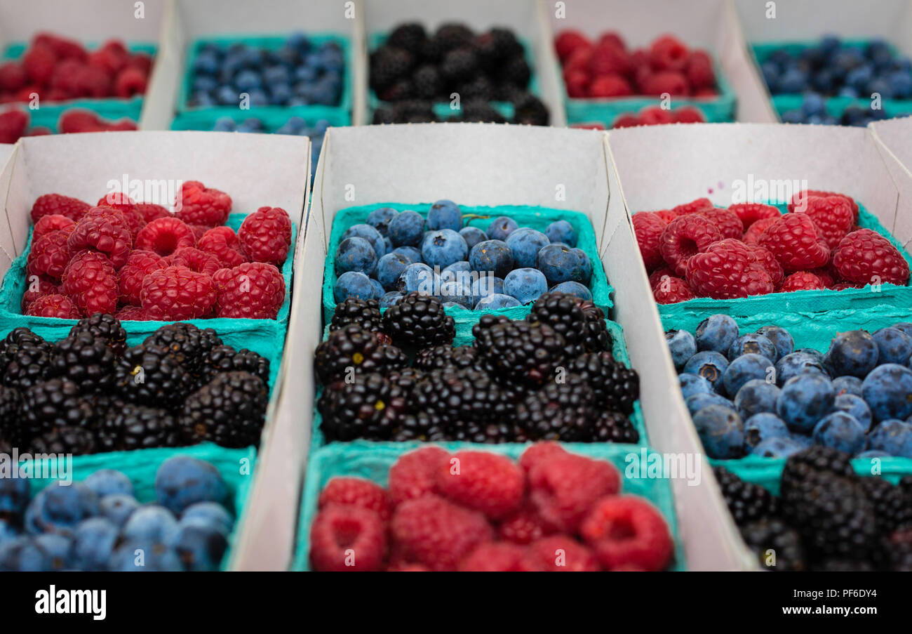 Ces goûts, même mieux qu'ils ont l'air ! Banque D'Images