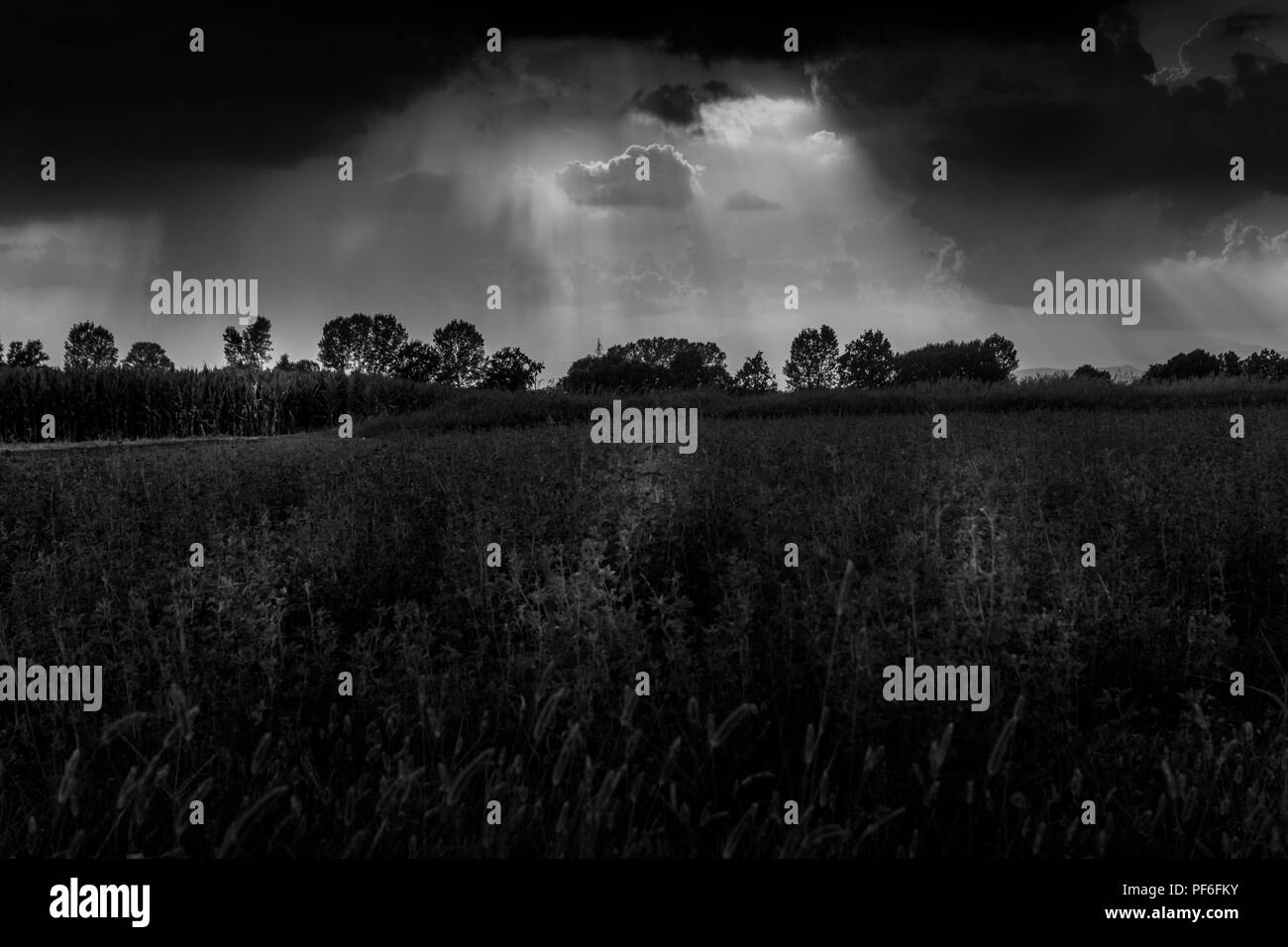 Panorama campagne en noir et blanc Banque D'Images