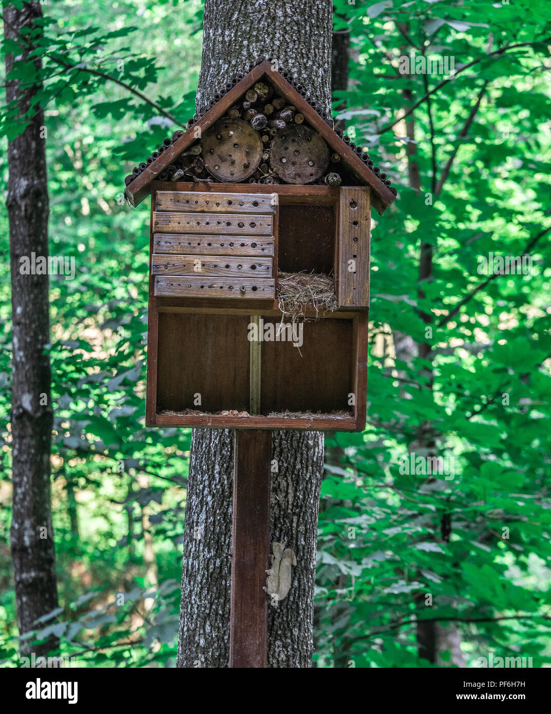un nichoir sur un arbre, une maison d'écureuil, un nichoir en bois fait de  petites bûches. Fait main. sauver les animaux 14707588 Photo de stock chez  Vecteezy