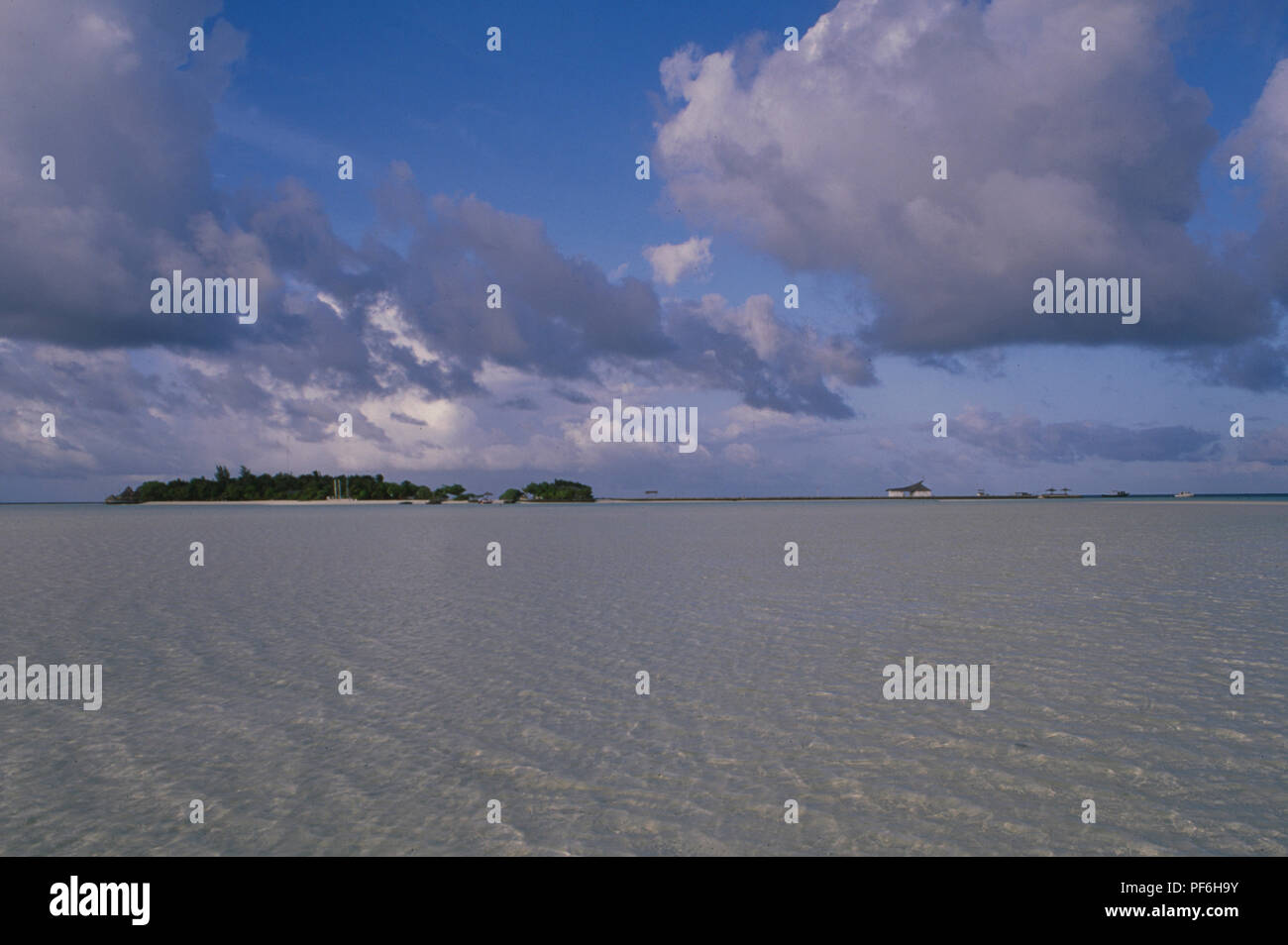 Bancs de bâtiment sur Rihivelli Île dans l'Atoll d'Ari en raison de niveau de l'océan soulèvement causé par le changement climatique global, ne va pas aider. Les îles wi Banque D'Images