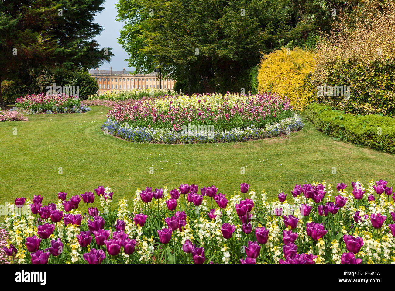 Fleurs à Royal Victoria Park, Bath, Angleterre avec le célèbre Royal Crescent vu au loin derrière. Banque D'Images