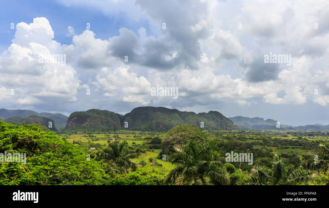 Vallée de Viñales panorama, vue sur paysage luxuriant, province de Pinar del Rio, Cuba Banque D'Images Vallée de Viñales panorama, vue sur paysage luxuriant, province de Pinar del Rio, Cuba Banque D'Images