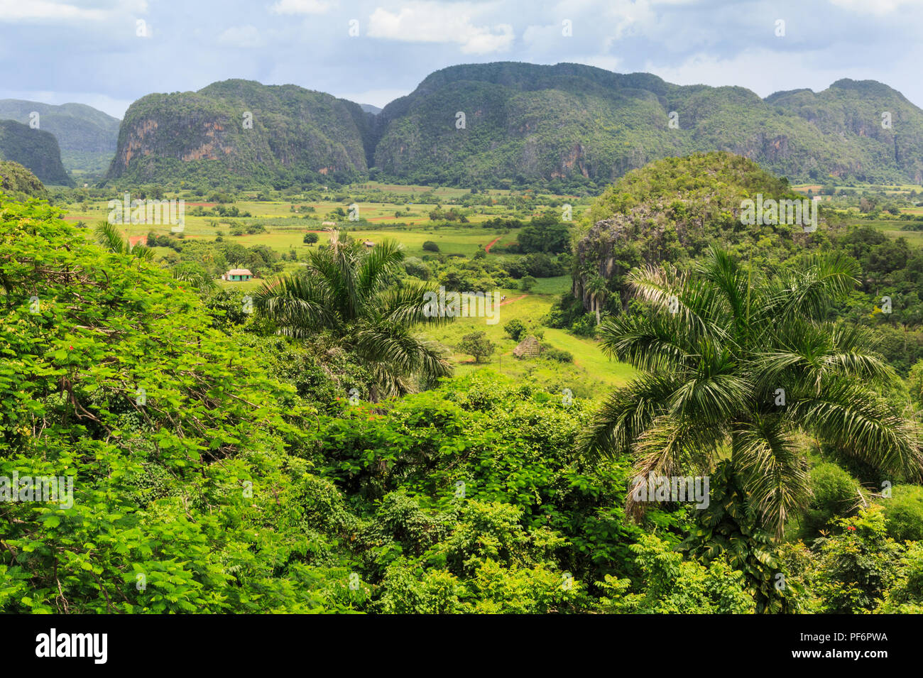 Vallée de Viñales panorama, vue sur paysage luxuriant, province de Pinar del Rio, Cuba Banque D'Images Vallée de Viñales panorama, vue sur paysage luxuriant, province de Pinar del Rio, Cuba Banque D'Images