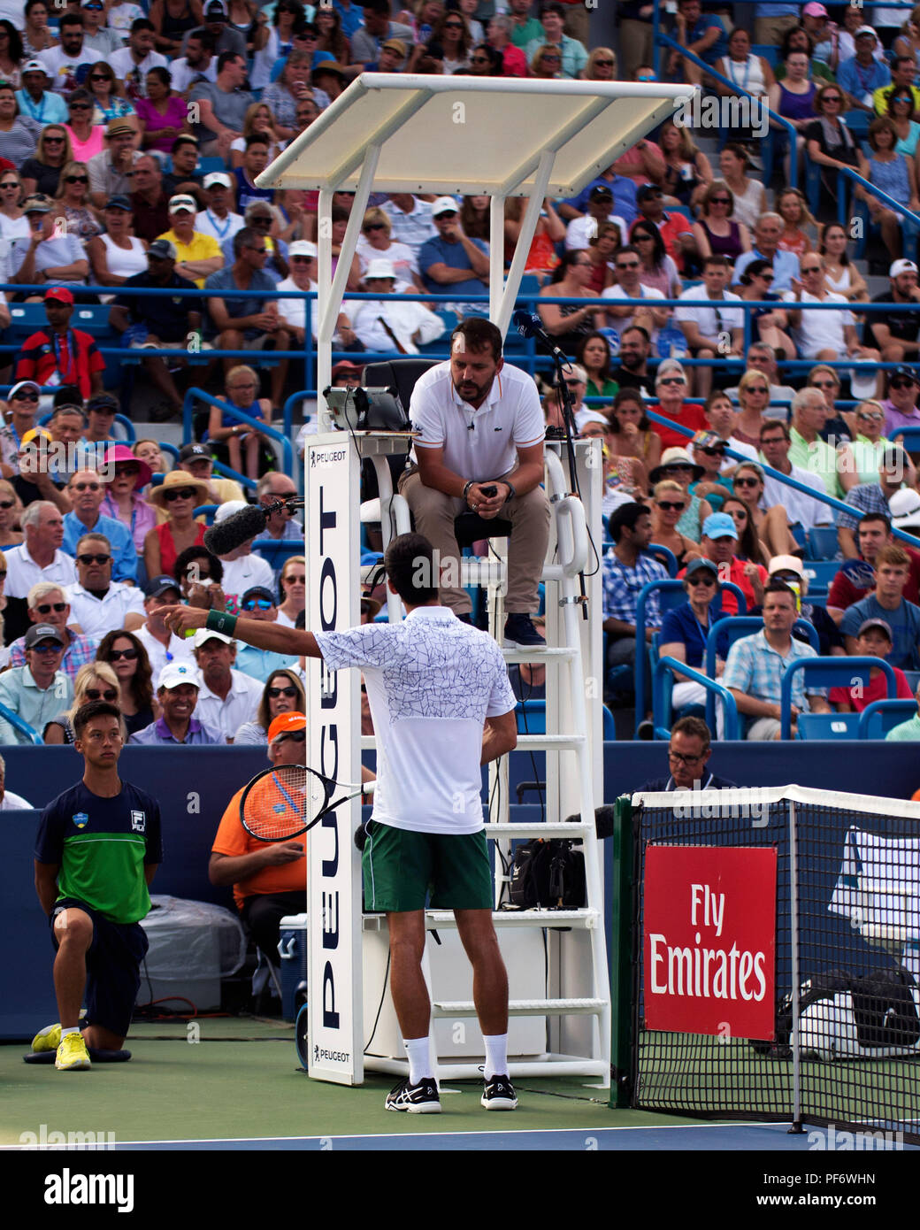 Mason, Ohio, USA. 19 août 2018 : Novak Djokovic argures un appel contre la présidence juge-arbitre Damien Dummusois (FRA) pendant le match final contre Roger Federer (SUI) à la région du sud-ouest de l'ouvrir à Mason, Ohio, USA. Brent Clark/Alamy Live News Banque D'Images