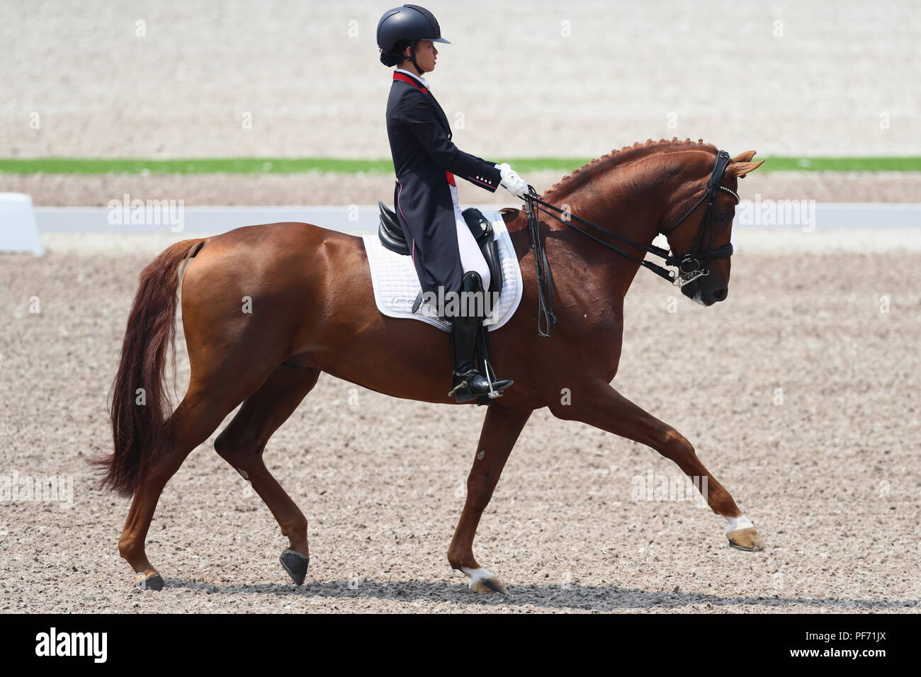 Jakarta, Indonésie. 20e Août, 2018. Vue générale : équipe de dressage équestre au Parc équestre international de Jakarta au cours de la 2018 Jeux Asiatiques Palembang Jakarta à Jakarta, Indonésie . Credit : Naoki Nishimura/AFLO SPORT/Alamy Live News Banque D'Images