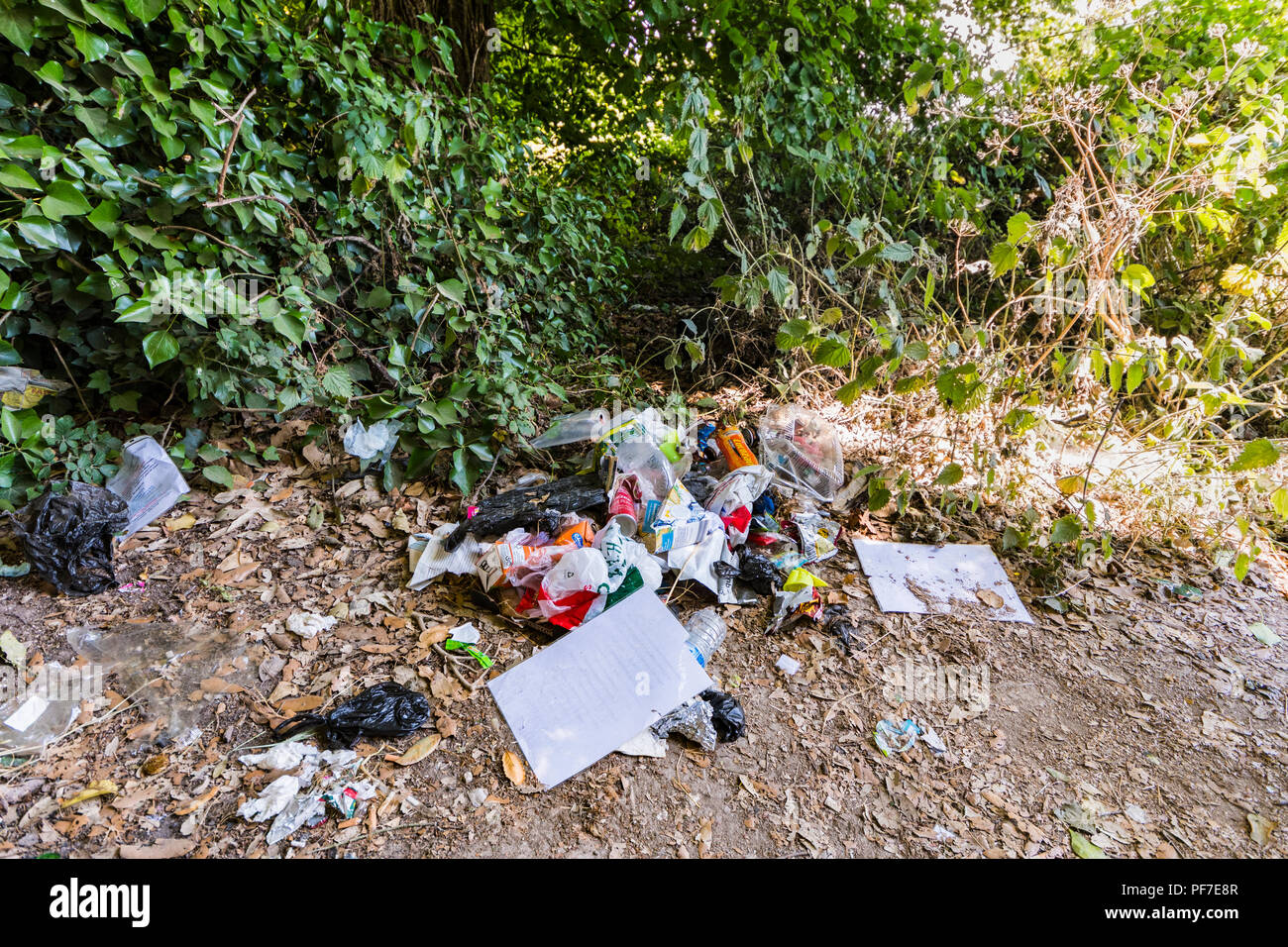Amas de déchets en vrac à la traîne dans la campagne au Royaume-Uni. Les déchets jetés sur le terrain. Banque D'Images