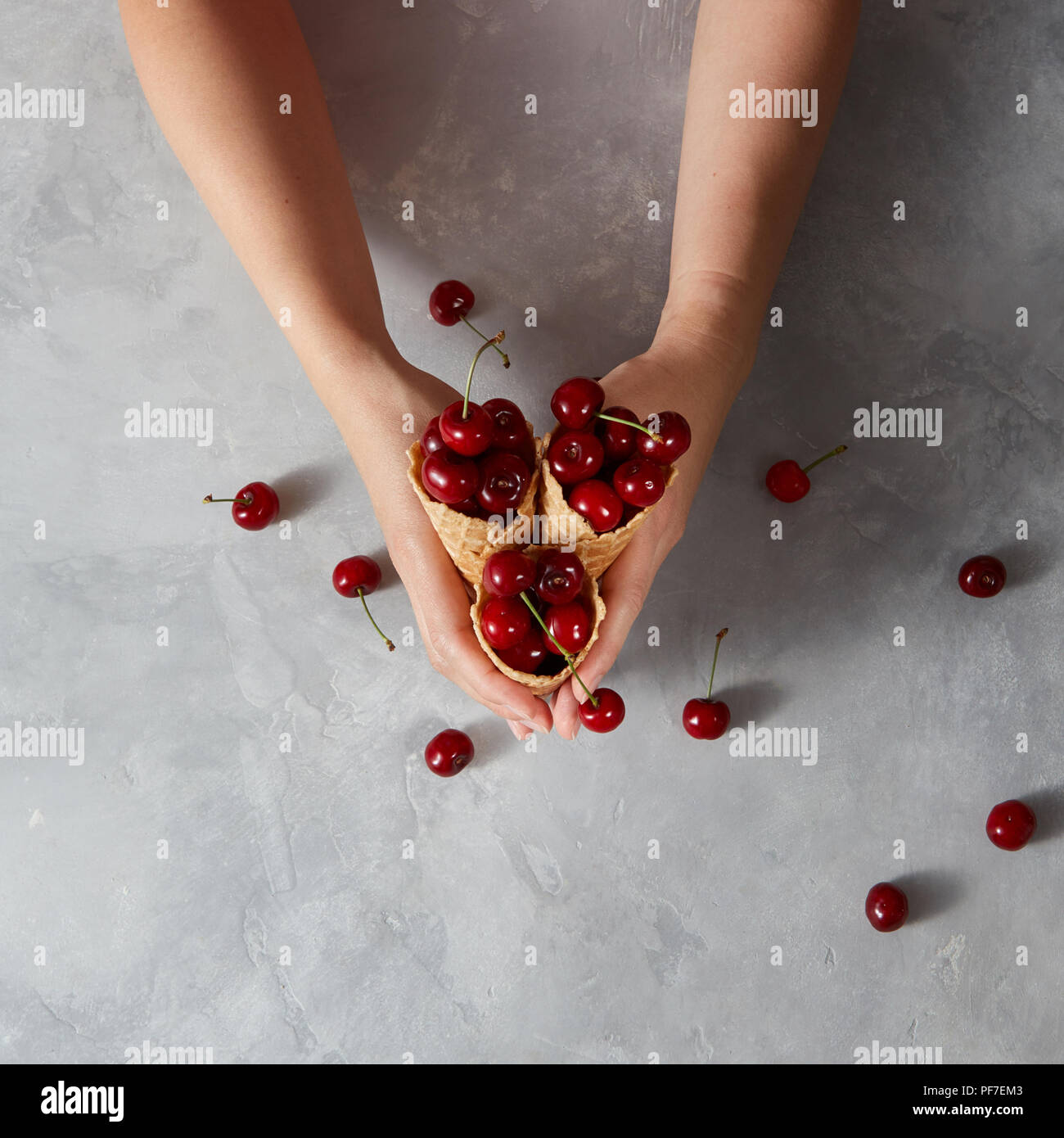 Mains d'une femme tenant avec de grandes tasses de gaufrette croustillante de cerise mûre des baies au-les sur un tableau gris, de l'espace pour le texte. Vue d'en haut. Concept d'été de homemad Banque D'Images