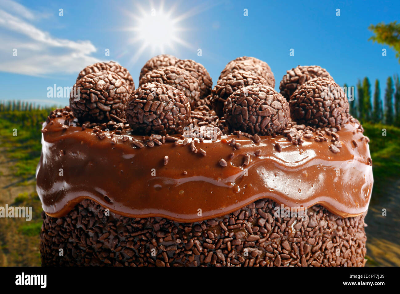 Gateau Au Chocolat Avec Bonbon Photo Stock Alamy