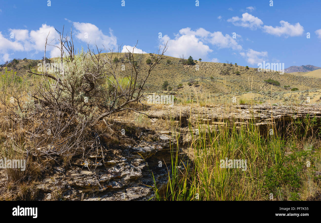 Les zones arides, des prairies couvertes de sauge sauvage et de roches avec des contreforts des Rocheuses en toile de fond dans la région de Yellowstone, Wyoming, USA. Banque D'Images