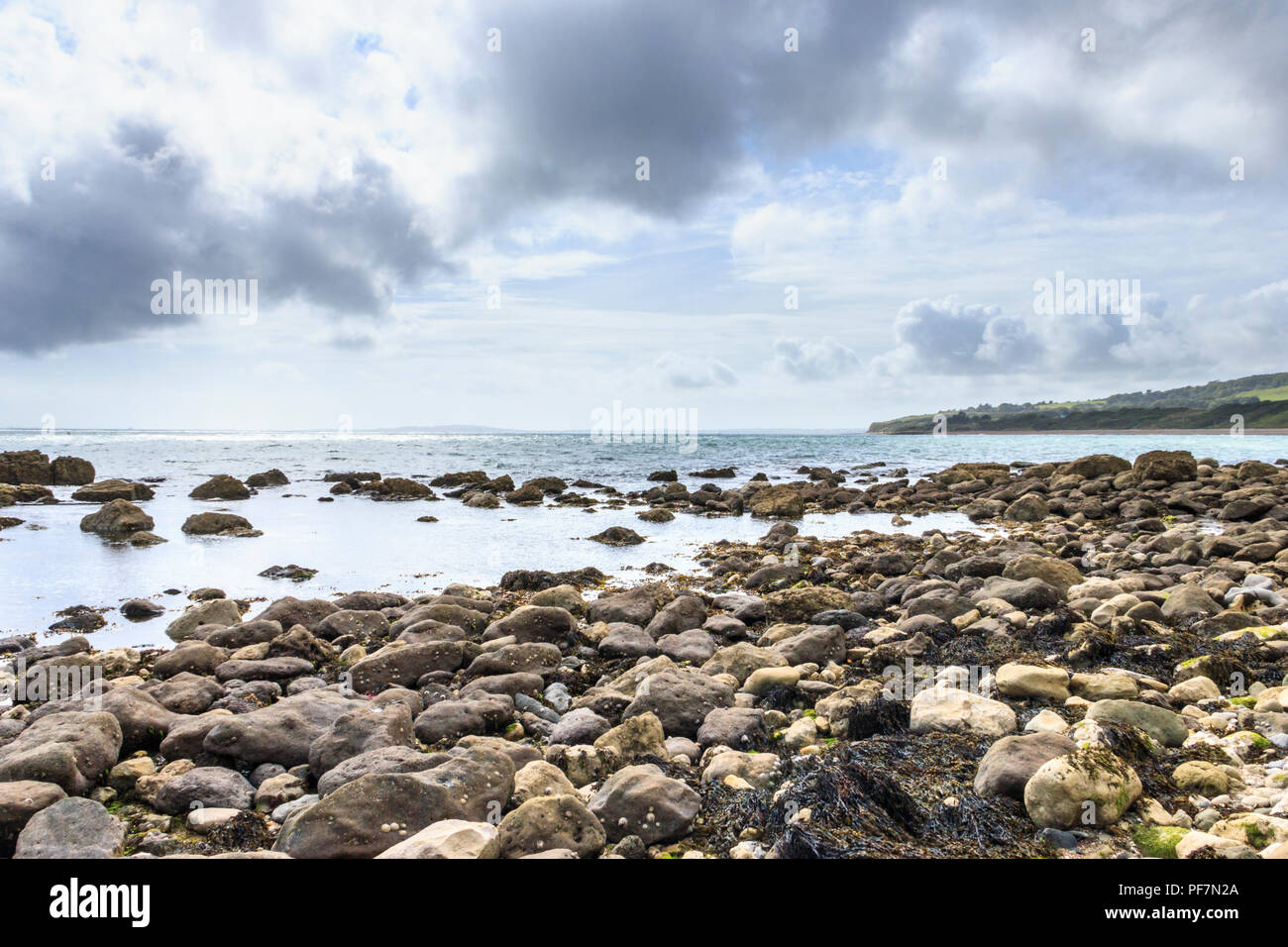 La côte rocheuse à Kimmeridge Bay, Dorset, UK, à l'ouest Banque D'Images