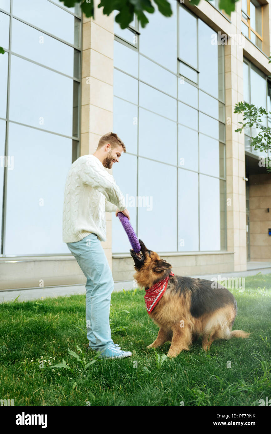 Homme aux cheveux blonds portant des jeans et chandail Playing with dog Banque D'Images