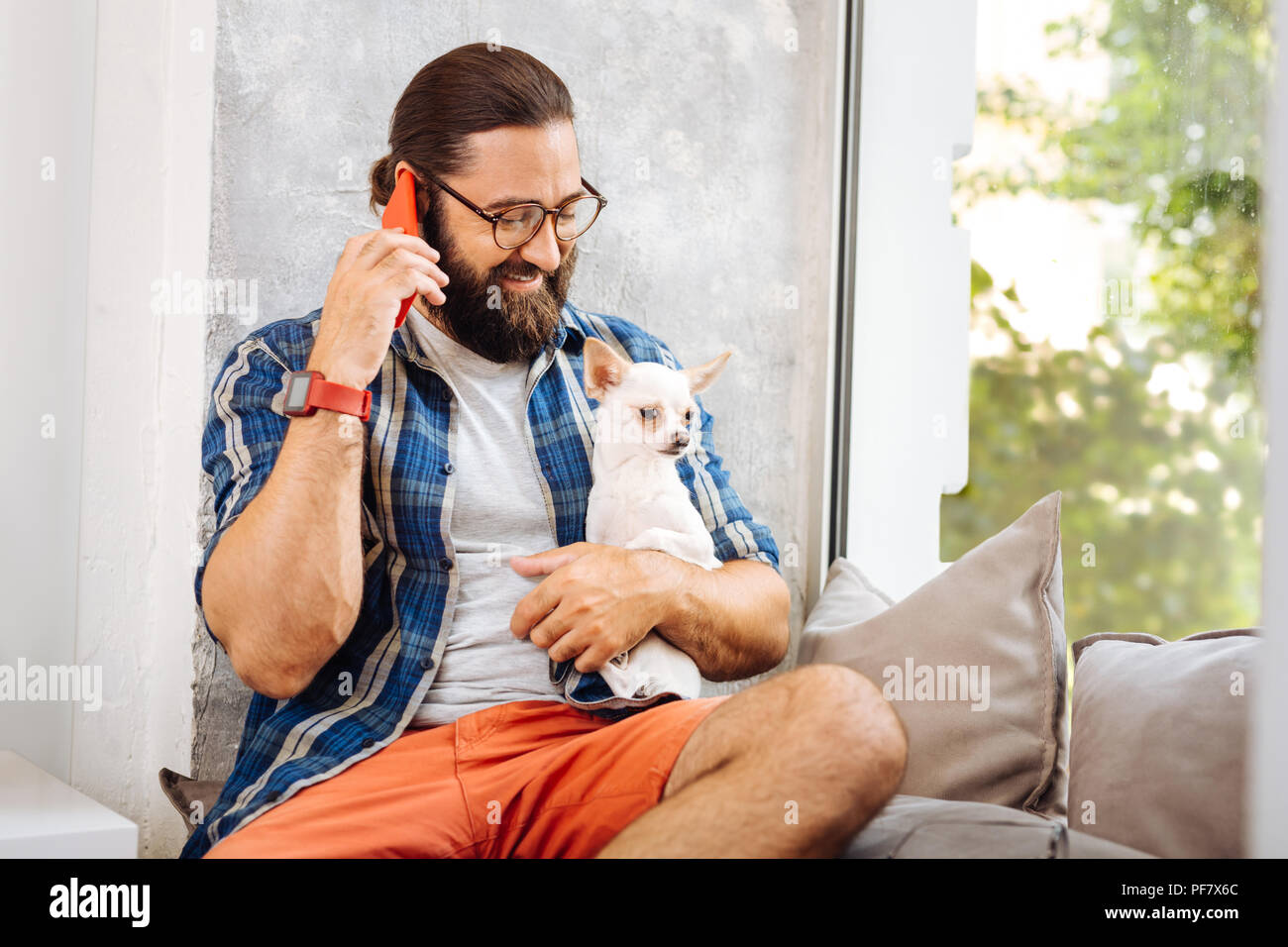 Propriétaire de chien soins barbu regardant parlant au téléphone Banque D'Images