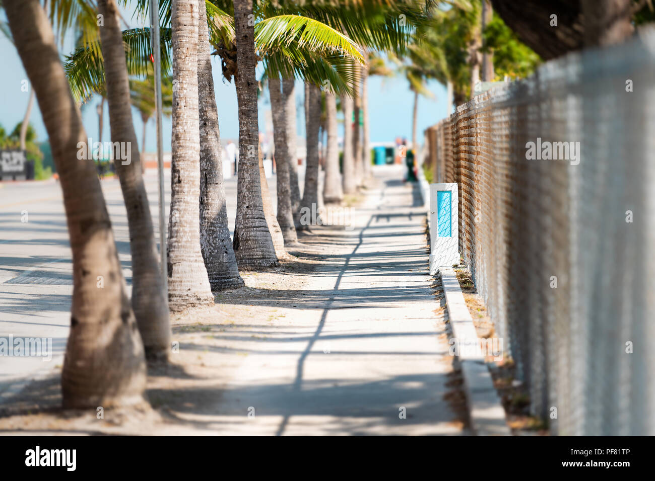 La diminution des lignes de vue vue le long trottoir avec des palmiers sur les côtés, d'une clôture dans le centre, au milieu de Key West, Floride Banque D'Images