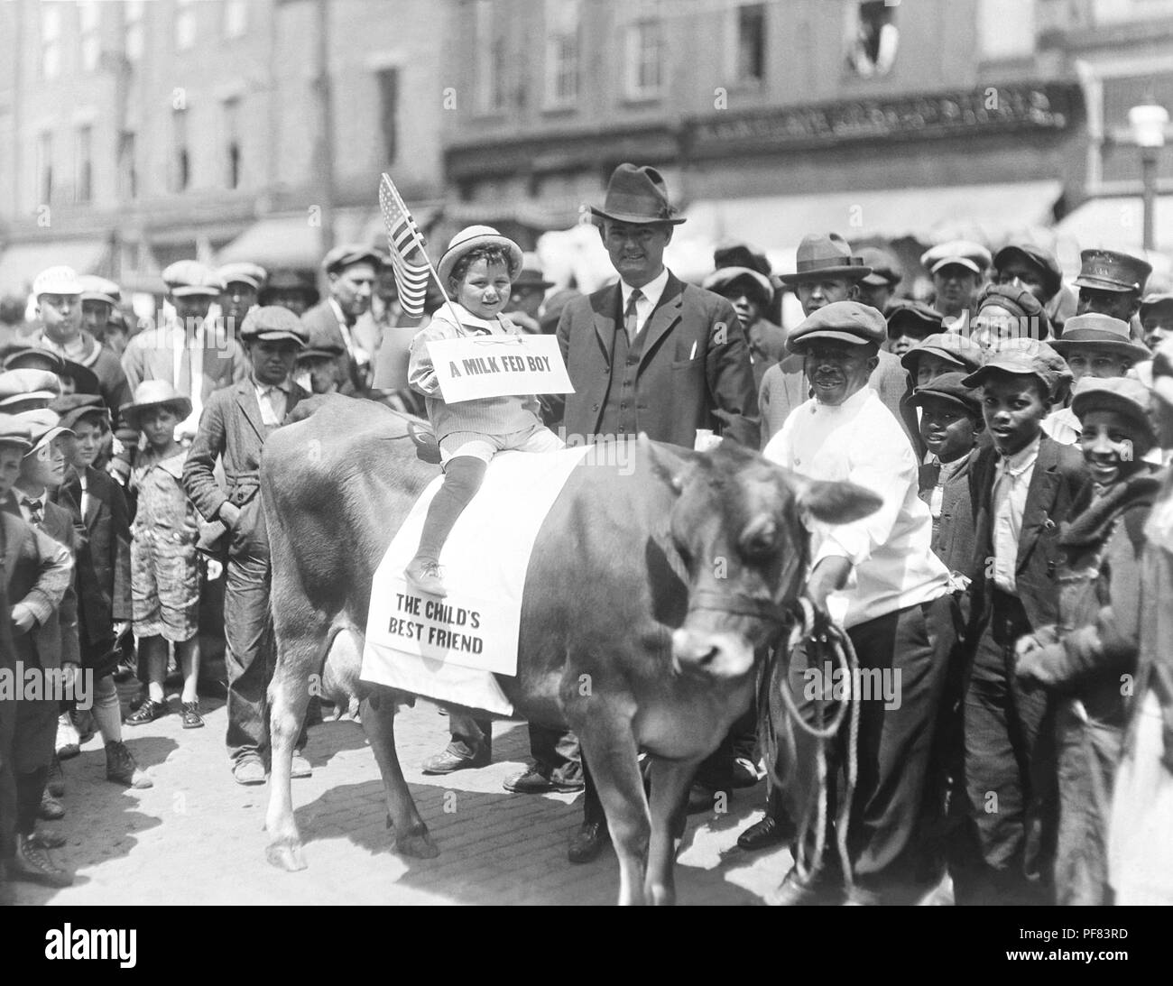 Boy riding une vache et portant un panneau 'un garçon' lait et foule de personnes se sont réunies au cours de la célébration de la Journée de la Santé de l'enfant, New York, 1950. Image courtoisie Centres for Disease Control (CDC) / Ministère de la Santé du Minnesota, R.N. Bibliothèque de Barr, bibliothécaires Melissa Rethlefsen et Marie Jones. () Banque D'Images