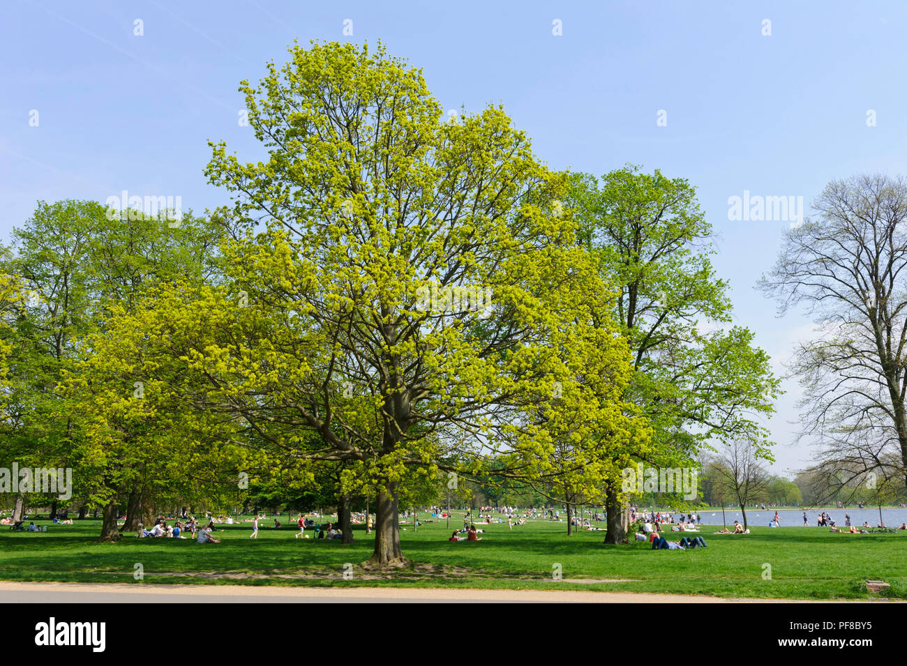 Les personnes bénéficiant du beau temps dans la région de Hyde Park, London, England, UK Banque D'Images