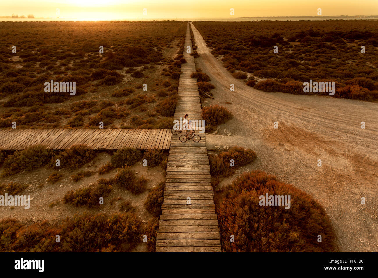 Chemin de bois qui est perdu vers le coucher du soleil avec deux cyclistes le traversant. Banque D'Images