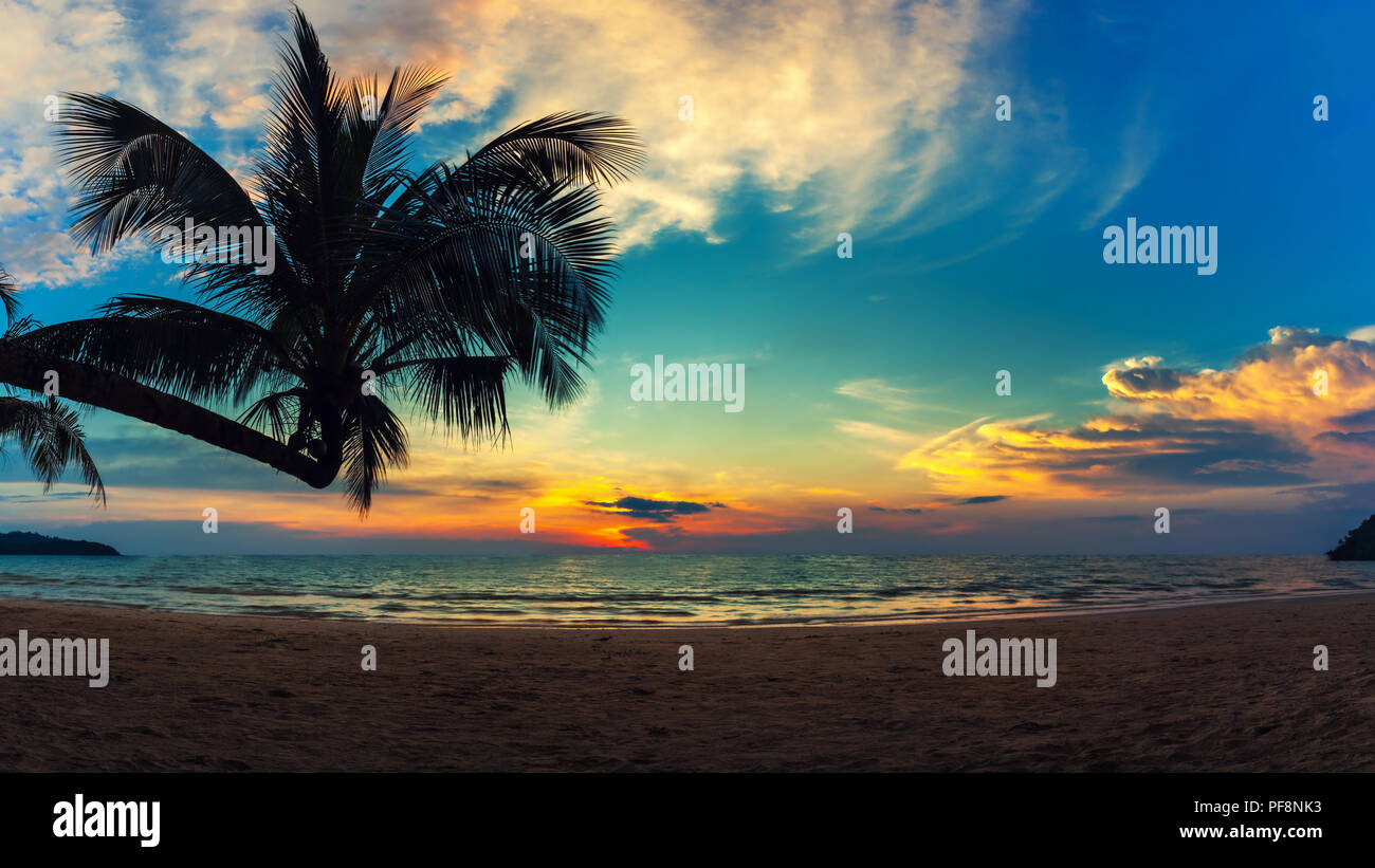 Panorama Nature paysage magnifique plage et mer tropicale au coucher du soleil Banque D'Images
