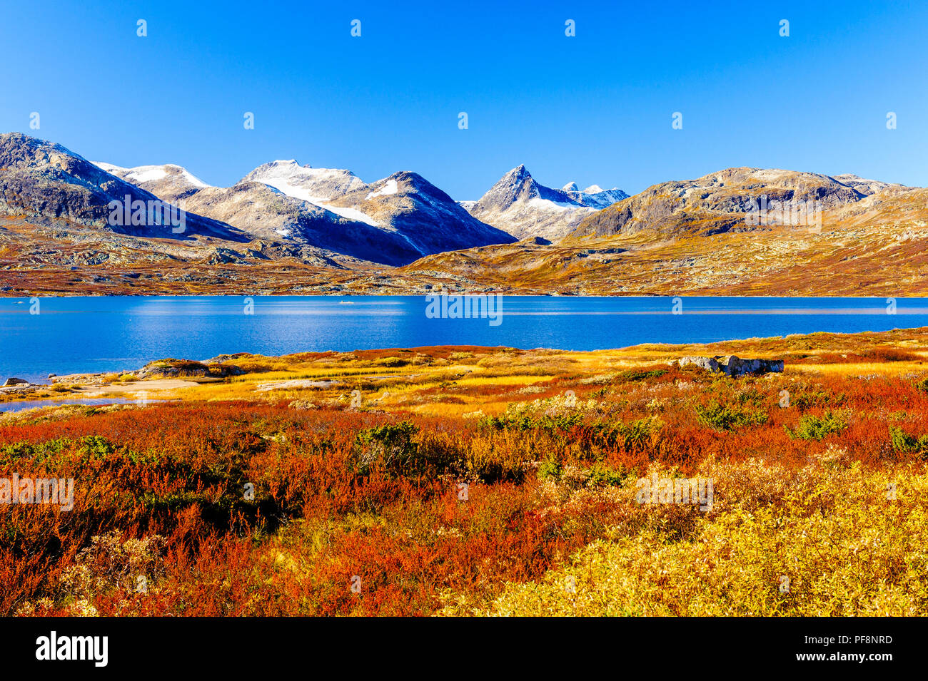 En automne à Jotunheimen Tyin. Banque D'Images