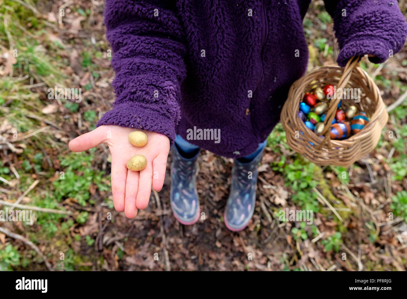 Un enfant tenant de sa main ouverte pour afficher deux oeufs de Pâques en chocolat à partir d'un panier plein d'œufs colorés recueillis sur une chasse aux œufs de Pâques UK KATHY DEWITT Banque D'Images