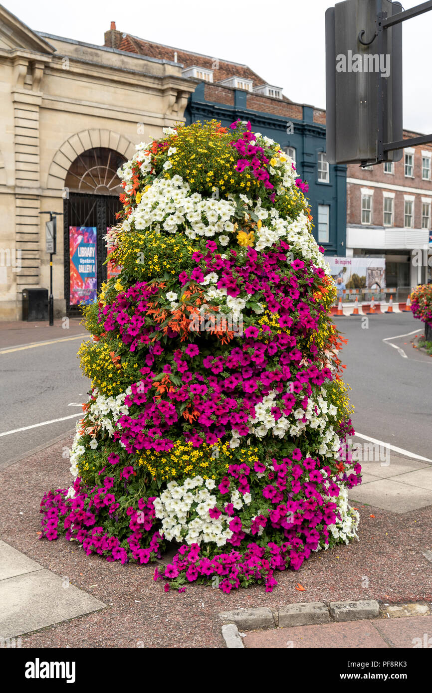 Affichage de fleur Banque D'Images