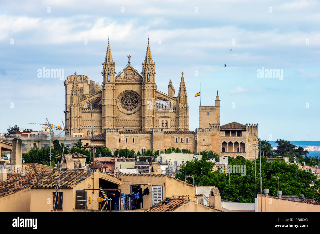La Seu, la cathédrale de Palma de Majorque - Iles Baléares, Espagne Banque D'Images