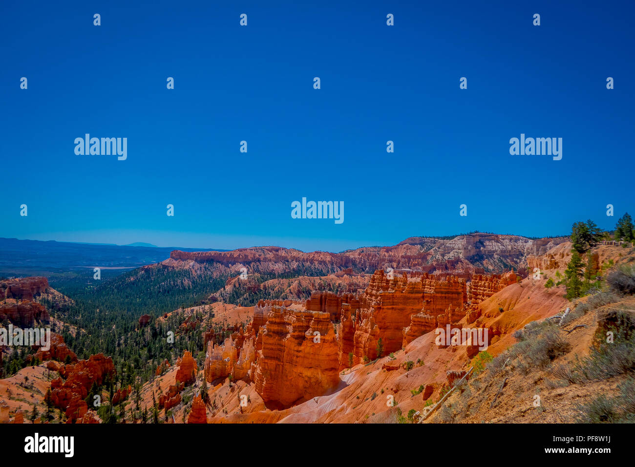 Bryce Canyon National Park, Utah, United States. Nature scène montrant de belles cheminées, des pinacles et ses flèches rocheuses. y compris Thors Hammer, dans un magnifique ciel bleu Banque D'Images