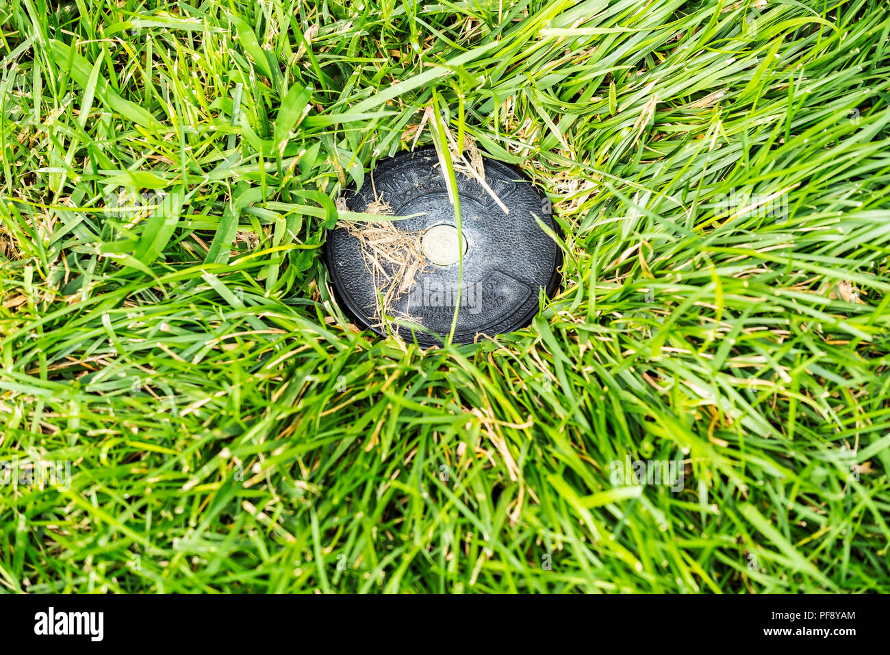 Un sous-terre Rainbird tête dans un gazon de fétuque à Kansas, USA. Banque D'Images