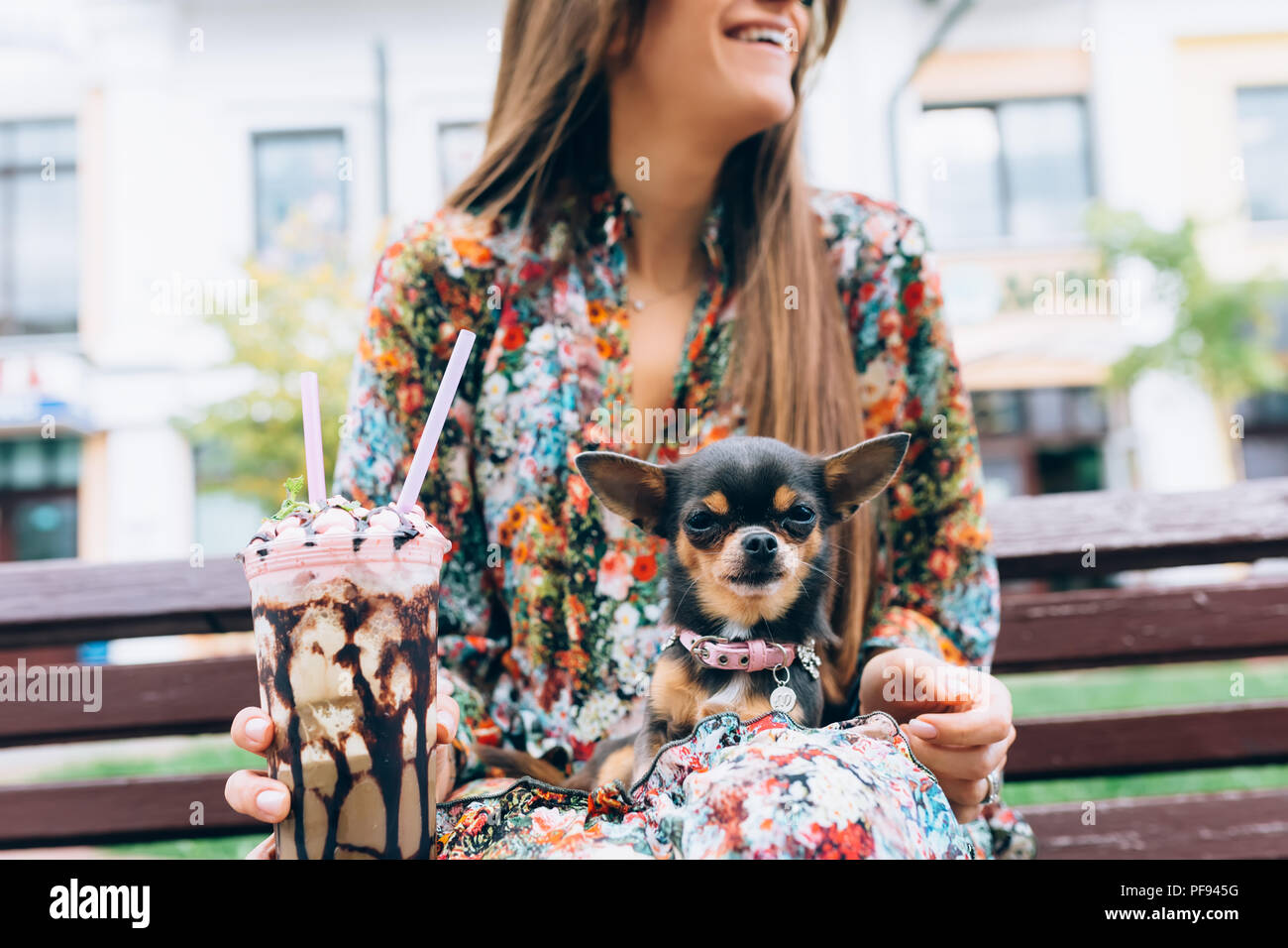 Woman avec peu de chiot. De vie de plein air portrait de femme assez élégant et son petit chien. Banque D'Images