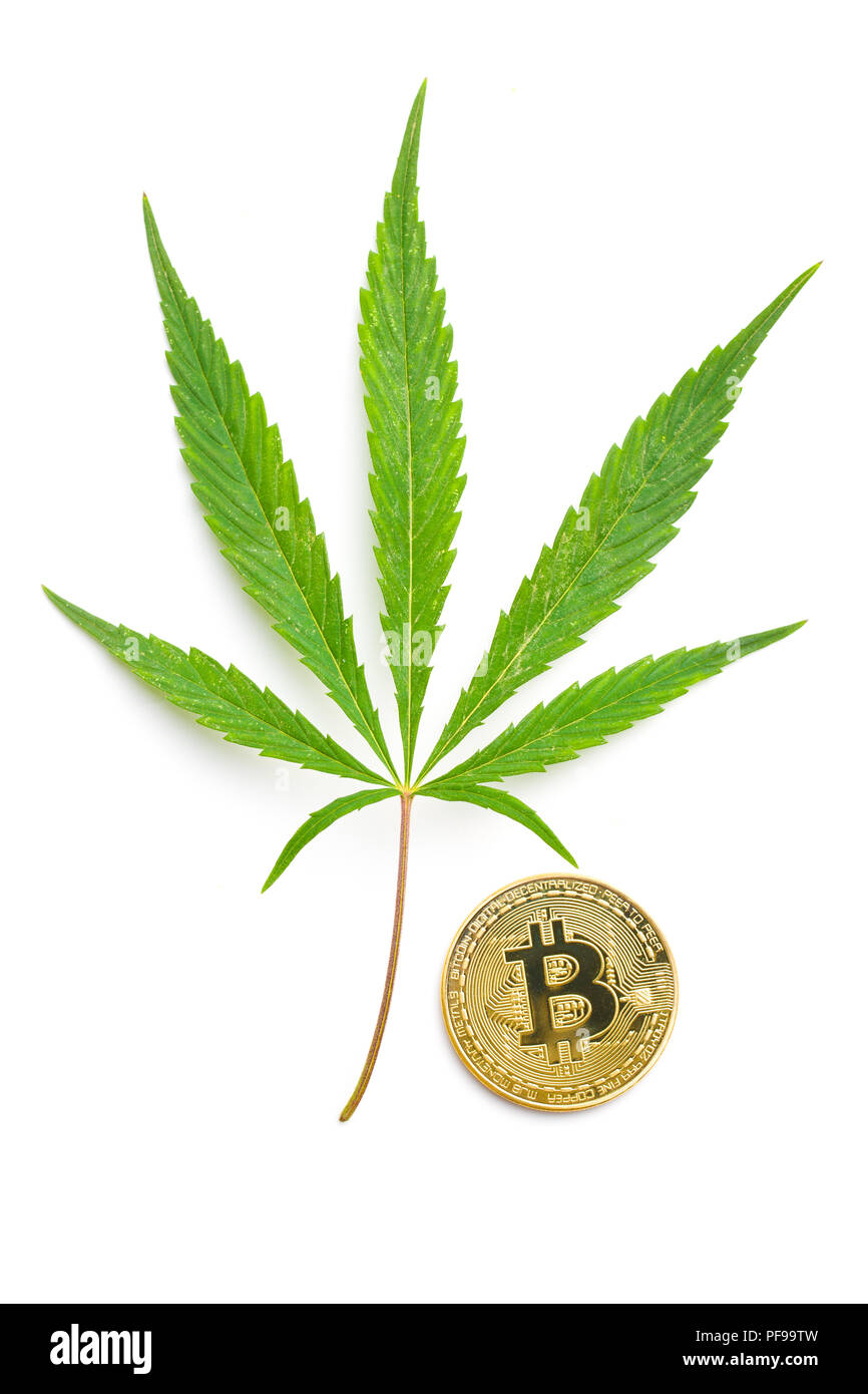 Le cannabis et la feuille verte monnaie bitcoin isolé sur fond blanc. Banque D'Images