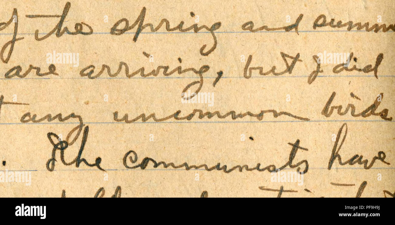 . Journal No. II [2], le 29 janvier 1928-27 mai 1928. L'entomologie, ornithologie, mammalogie ; Ichthyologie ; . . Veuillez noter que ces images sont extraites de la page numérisée des images qui peuvent avoir été retouchées numériquement pour plus de lisibilité - coloration et l'aspect de ces illustrations ne peut pas parfaitement ressembler à l'œuvre originale.. Graham, David Crockett. Banque D'Images