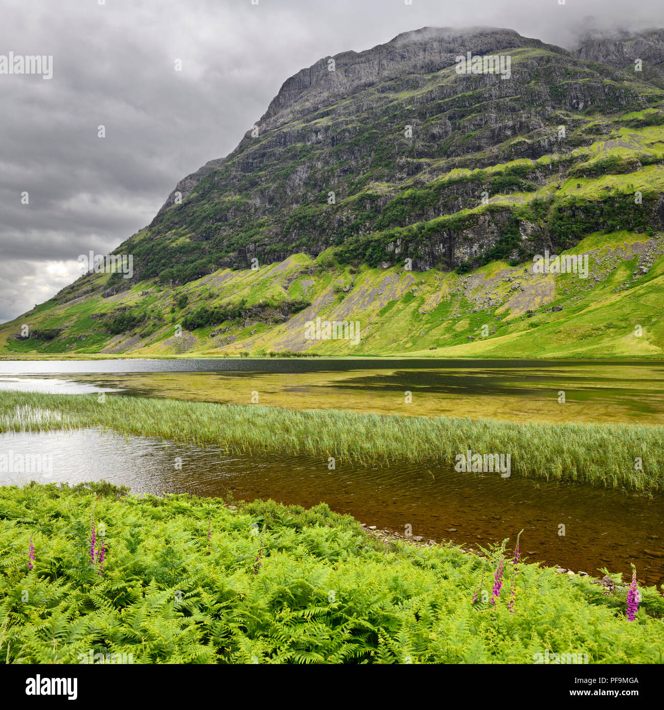 Loch Achtriochtan sur la rivière Coe dans la vallée de Glen Coe vert avec de l'Aonach Dubh trois soeurs dans les nuages montagnes Highlands écossais Ecosse Banque D'Images