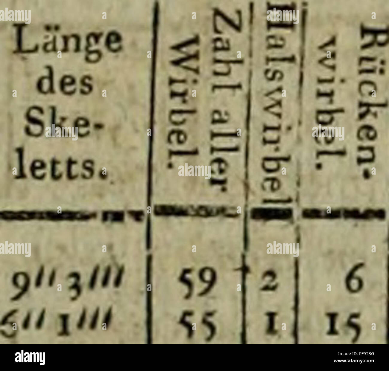 . Deutsches Archiv fÃ¼r die Physiologie. 399 â Tabelle Ã¼ber die Zahl der Wirbel bei den Namen der Reptilien, ' Mechcl fchenSammlung beHndlicheD in der Skelette. Proteus anguinus , . Tricon, criltHtus ^^ foemina â mas. (S.tUinan crifiata- dra. Latreille) Triton taeniatus (Salaman- dia punctata, Latreille). Mwlrd terreftris.Sdlam . Paradnxa efciilema, Rana temporaria ; Hyla viridis Butu, fufcus cinereus . Pipa dcrfi^era . , . , Fuliginora Ampimb.ieua . (TurtiiDis ragilis .... Dialciiles Sepj tridactylus (Lacerta. L.) . . Polycliros marnioratus. (La- c"r^un marmoraca. L} IgiMoa deUcatiriima Dracu Banque D'Images