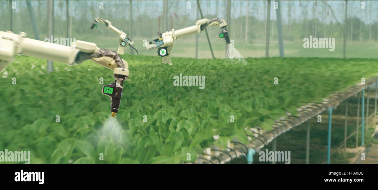 Robotique intelligente dans l'agriculture, concept futuriste robot-agriculteurs (automatisation) doit être programmée pour travailler pour la pulvérisation d'engrais chimiques,ou augmenter effici Banque D'Images