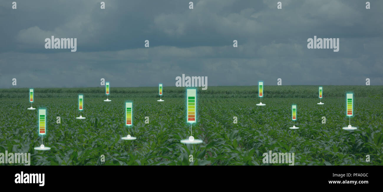 La bulle chat ou des données des compteurs le détecter par technologie futuriste dans l'agriculture intelligente avec l'intelligence artificielle pour améliorer le rendement, l'efficacité, une Banque D'Images