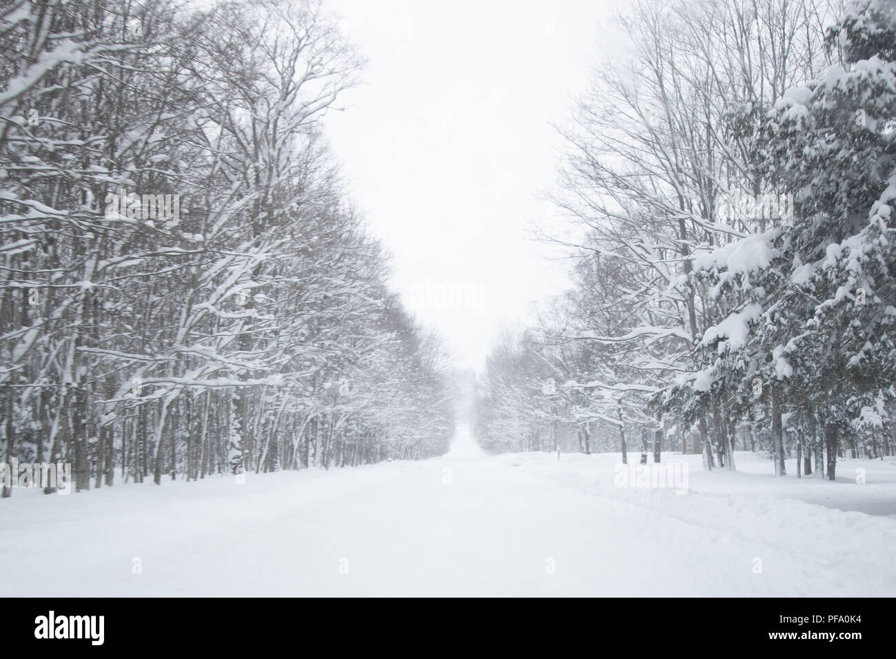 Route d'hiver enneigé Banque D'Images