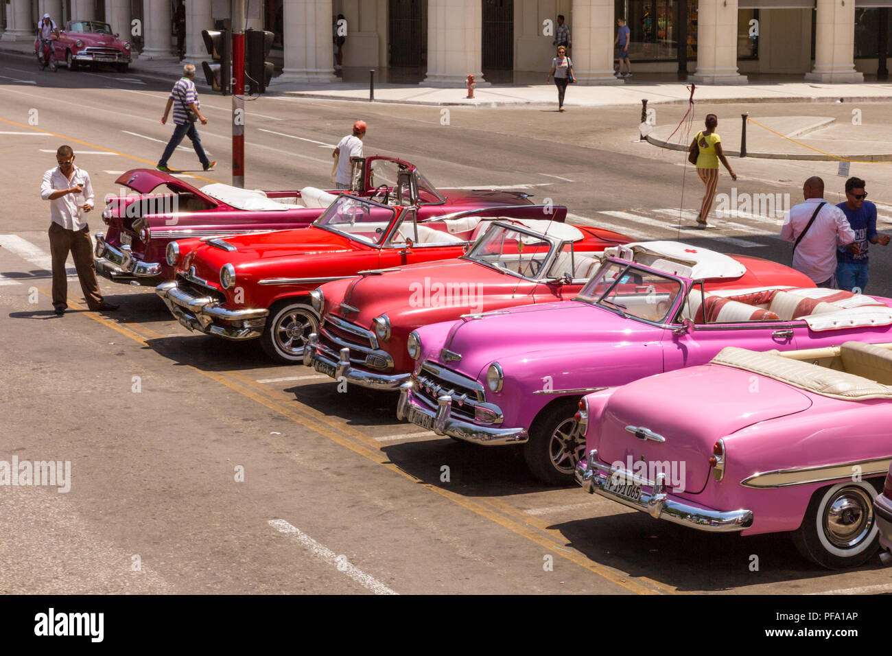 American Classic et les voitures vintage oldtimers en rose, rouge et violet, alignés à La Havane, Cuba Banque D'Images