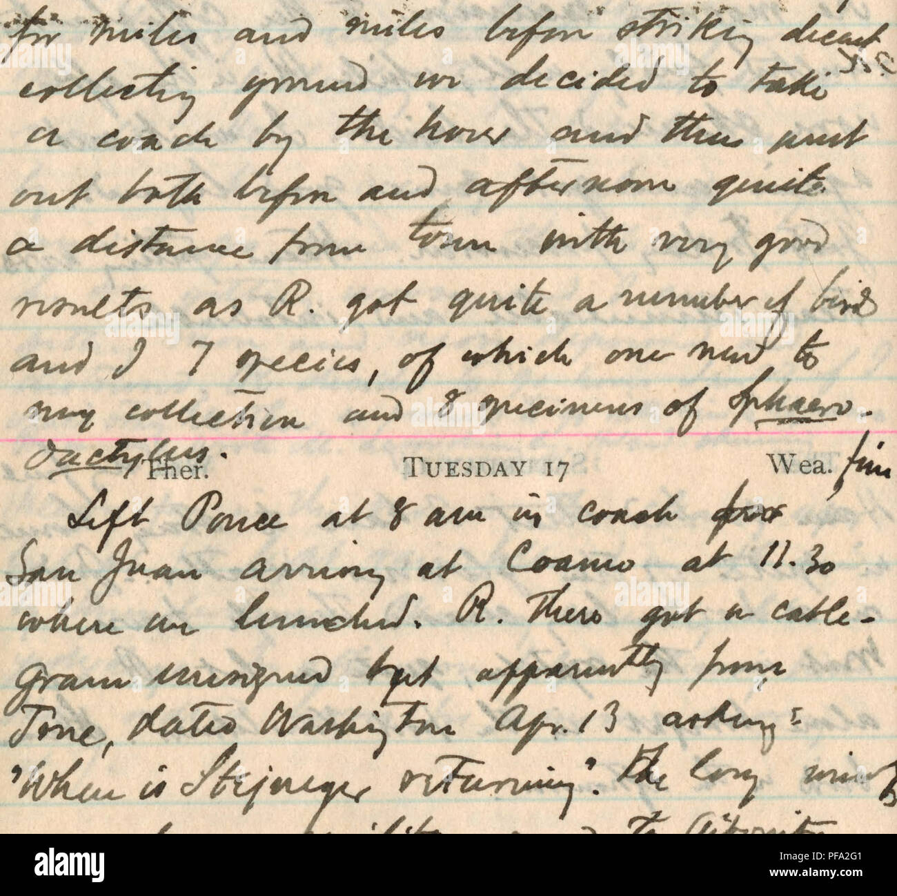 . Journal, 5 février-Avril 29, 1900. L'ornithologie, herpétologie. V . 2- /si f. S 0 Dimanche, Avril 22, j 900. Un Ther. ^ Mardi 24 WEA. Ther. Le mercredi 25 avril, 1900 WeaujC^^^ Ther. ^J/ * jeudi 26 Wea.^ ^^^^J / o^ /&Lt ;^oc. ^ ^^^p i-'-"^^^'i. Veuillez noter que ces images sont extraites de la page numérisée des images qui peuvent avoir été retouchées numériquement pour plus de lisibilité - coloration et l'aspect de ces illustrations ne peut pas parfaitement ressembler à l'œuvre originale.. Stejneger, Leonhard, 1851-1943. Banque D'Images