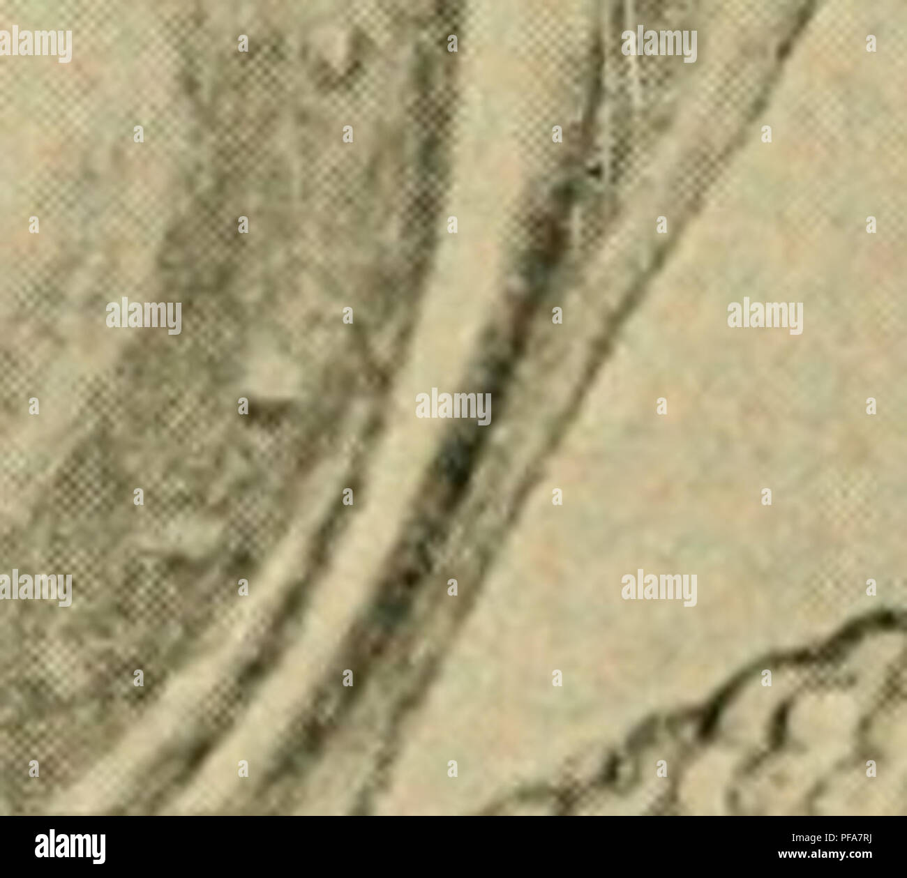 . Le développement du poussin : une introduction à l'embryologie. L'embryologie ; Poulets -- les embryons. 214 LE DÉVELOPPEMENT DU POUSSIN leur soutien et structures squelettiques et accessoires : (a) le système nerveux central, {h) les organes de sens particulier, et (c) les organes viscéraux, de la bouche et du pharynx. L'origine de tous ces éléments a été examiné, et il est proposé de prendre // t â- ^^^* iii : : :- &gt ; j" *^ ^-- V - â"^ -V. Â¢N,. ''). A. -â¢â &gt ;- . I. 4 :-'â '- .^. Veuillez noter que ces images sont extraites de la page numérisée des images qui peuvent avoir été retouchées numériquement pour readabi Banque D'Images